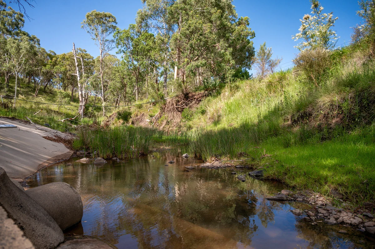 Additional image 22 of 1006 North Branch Road, Goomburra QLD 4362