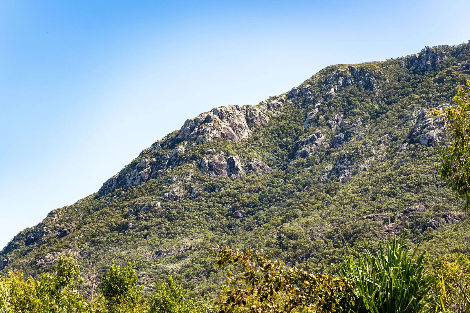 Additional image 46 of Lot 151 Coventry Road, Cape Upstart, Guthalungra QLD 4805