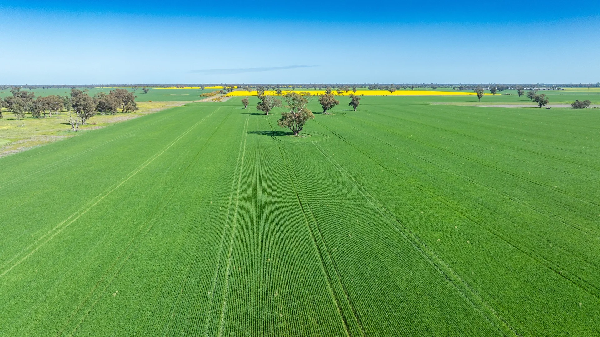 Additional image 2 of 153 Balldale-Coreen Road, Corowa NSW 2646