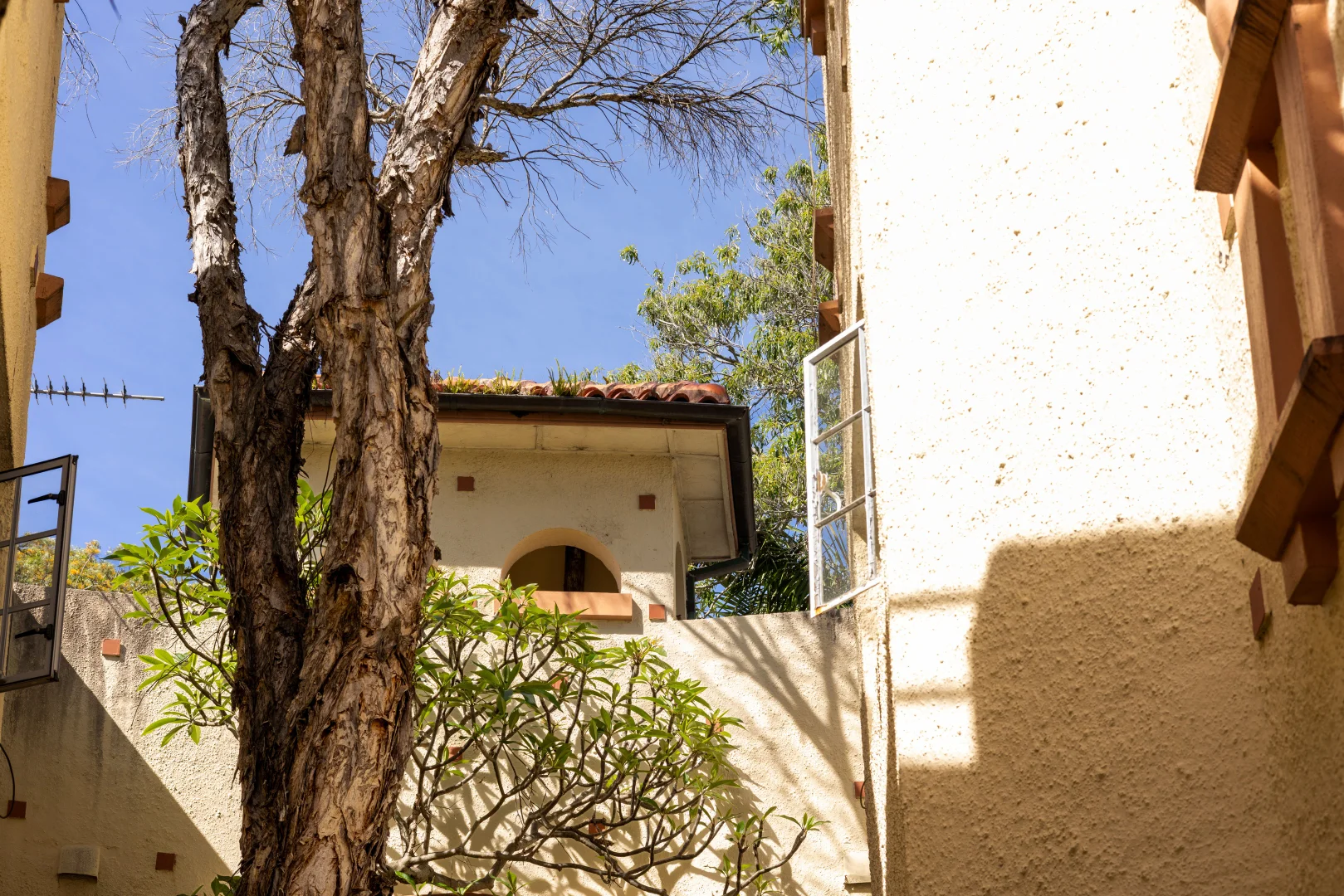 Additional image 11 of 8/64 Sir Thomas Mitchell Road, Bondi Beach NSW 2026