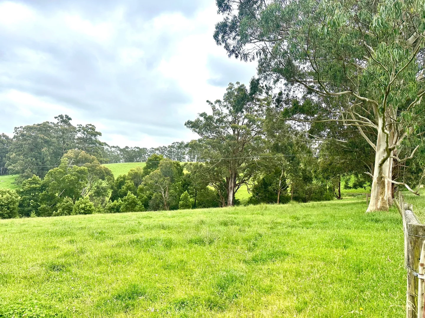 Additional image 10 of 655 Old Thorpdale Road, Mirboo North VIC 3871