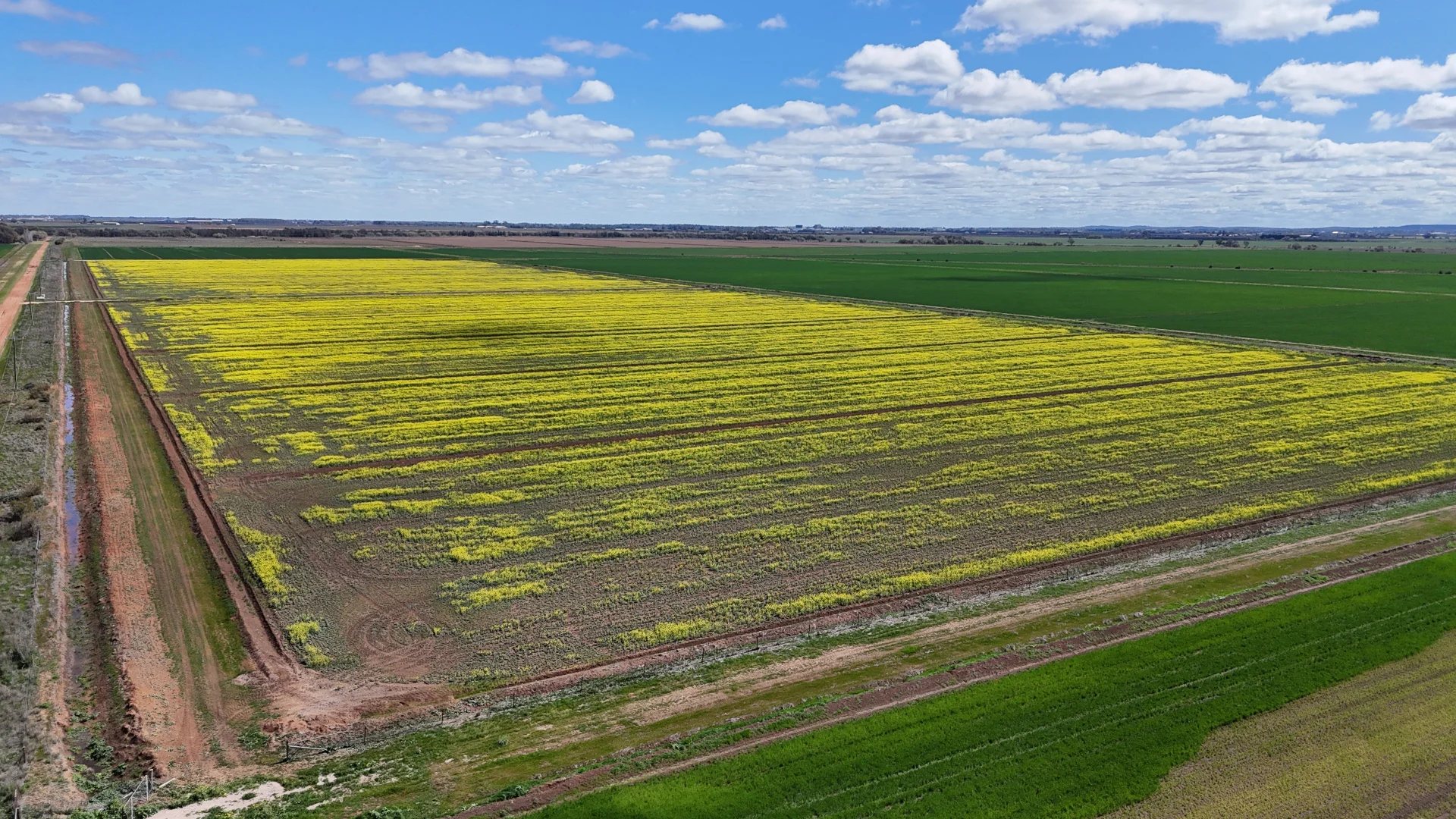 Additional image 5 of Farm 2526/408 Cashmere Road, Widgelli NSW 2680