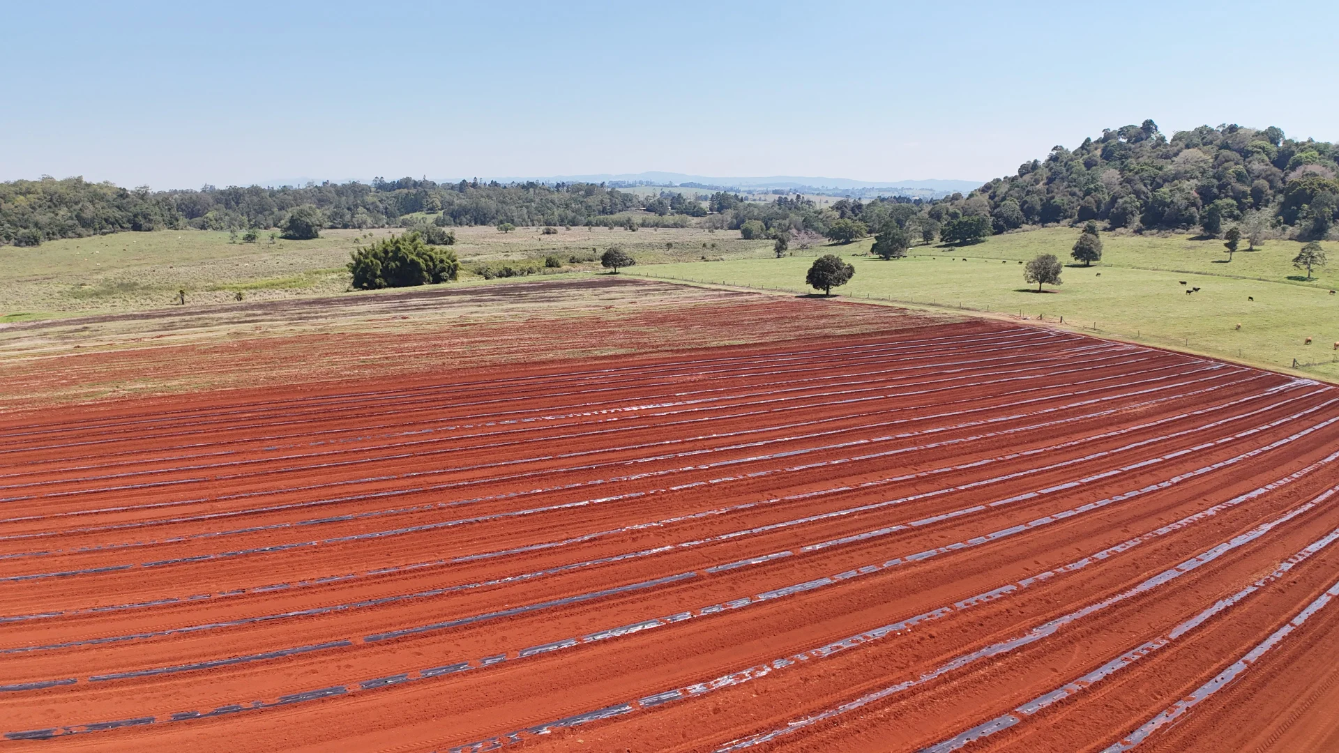 Additional image 22 of 767 Peeramon Road, Peeramon QLD 4885