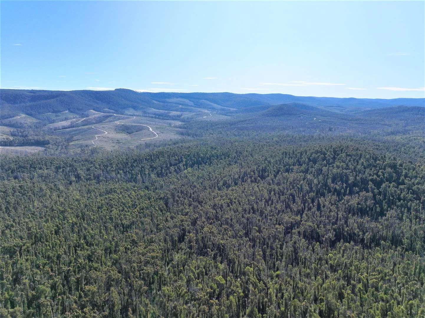 Additional image 12 of Lot 34, 35, 36, 79 Monaro Highway, Rockton NSW 2632