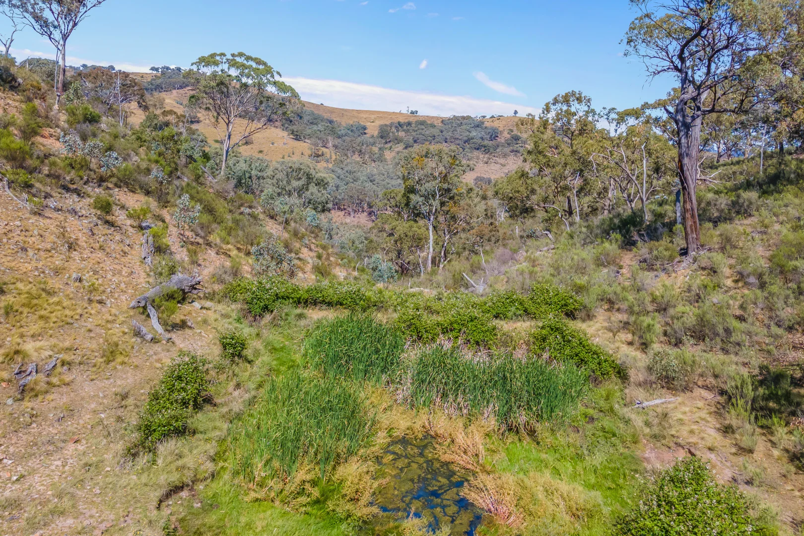 Additional image 21 of 1884 Lower Lewis Ponds Road, Ophir NSW 2800
