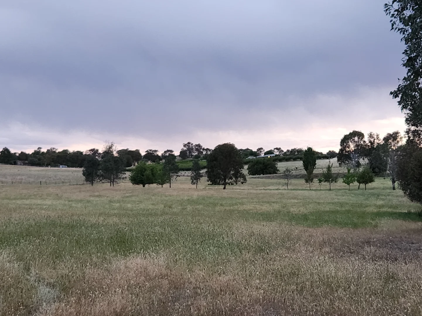 Additional image 8 of 225 Belmore Road, Young NSW 2594