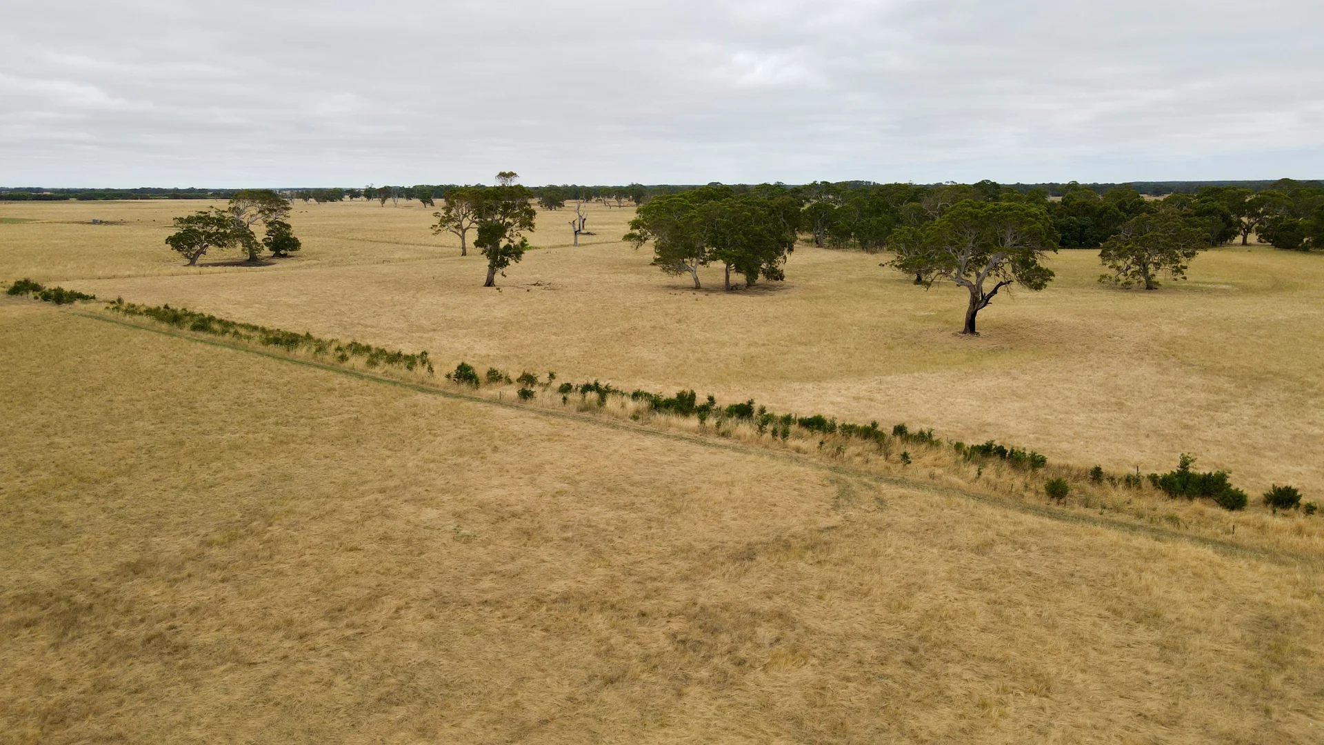 Additional image 6 of Lot 899 Mount McIntyre Road, Kalangadoo SA 5278