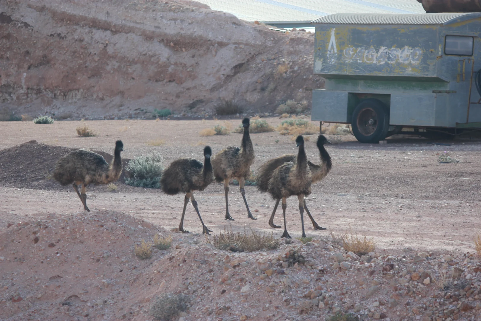 Additional image 21 of Lot 1795 Wedgetail Crescent, Coober Pedy SA 5723
