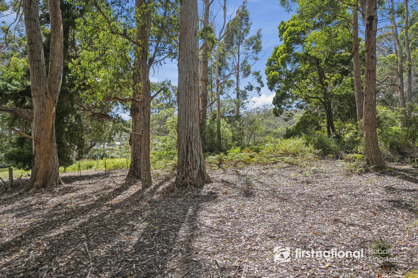 Additional image 10 of 15 Seaview Road, Adventure Bay TAS 7150