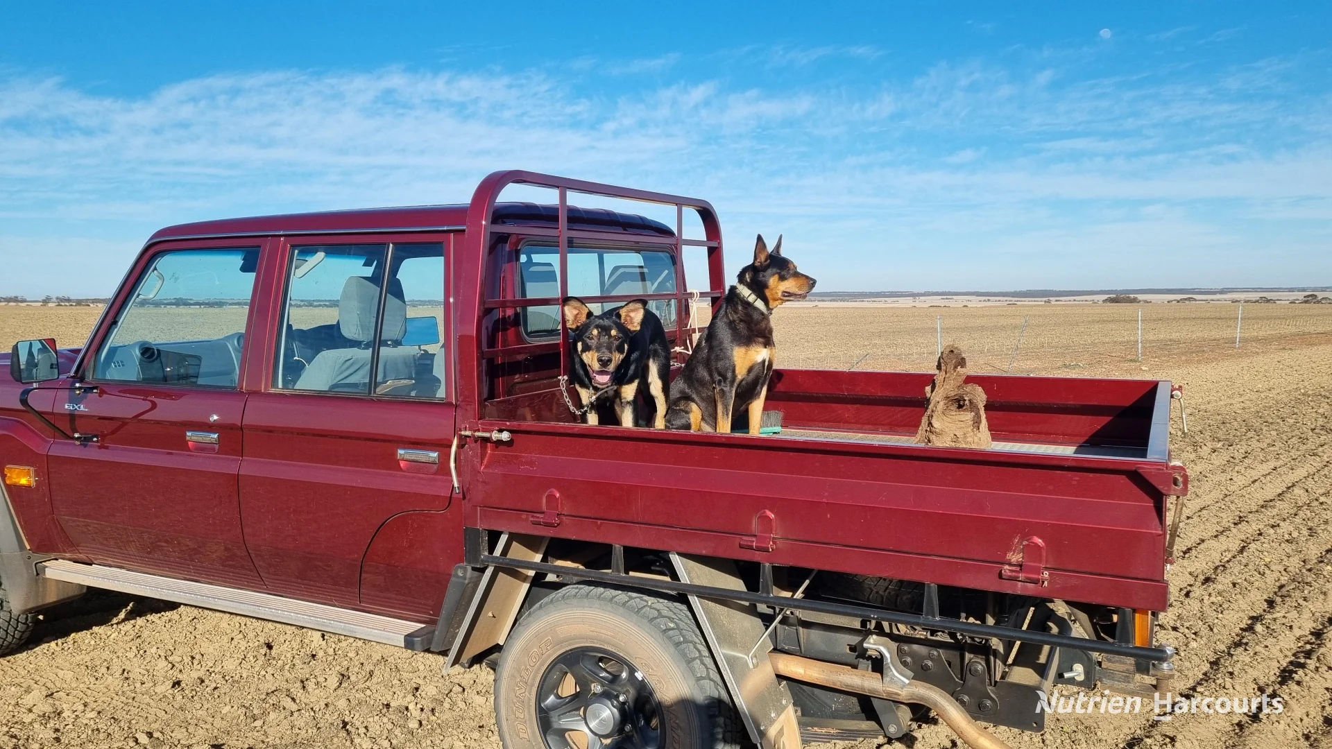 Additional image 23 of . Waitavalo Farms, Narembeen WA 6369