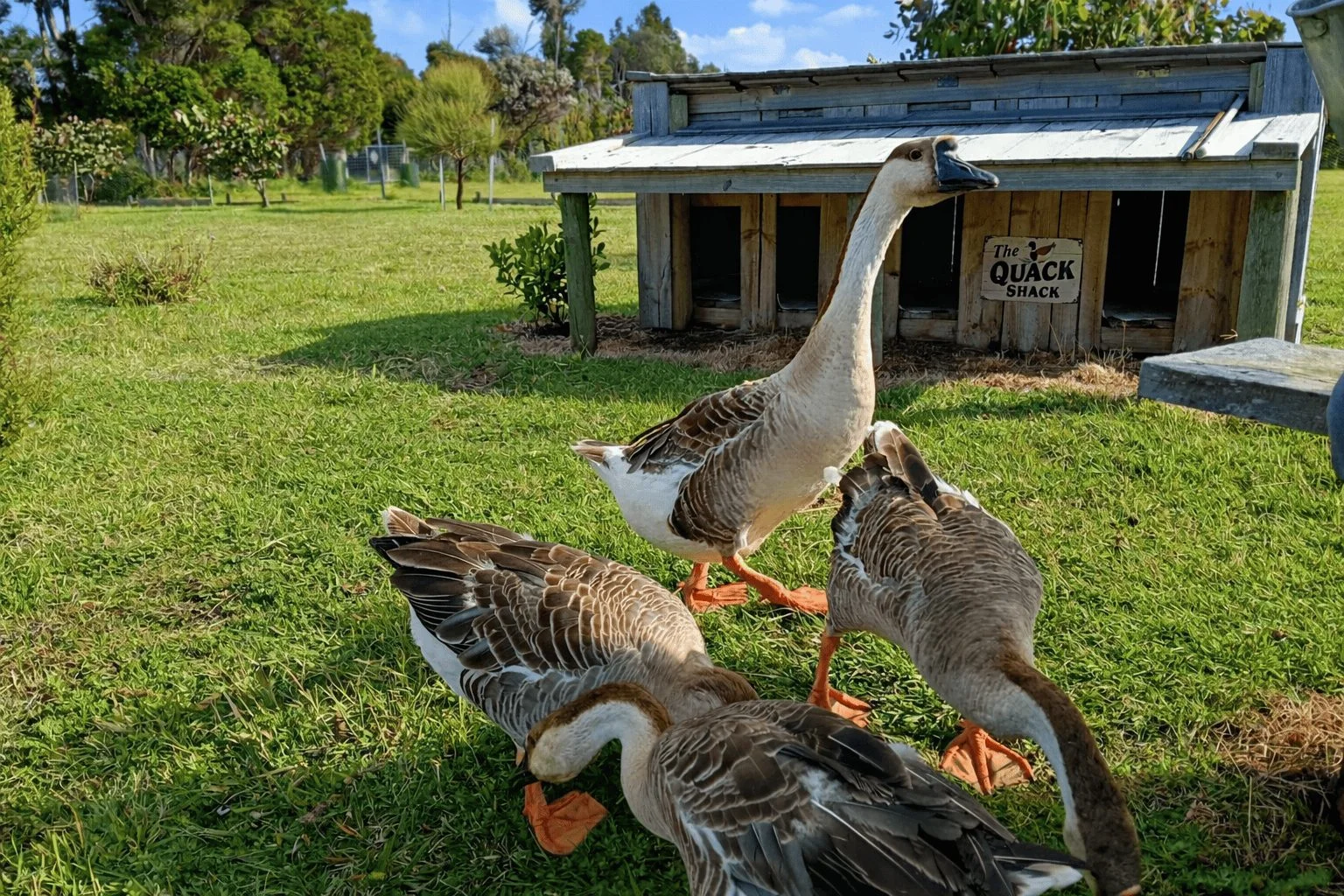 Additional image 34 of 23 Skyline Drive, Naracoopa TAS 7256