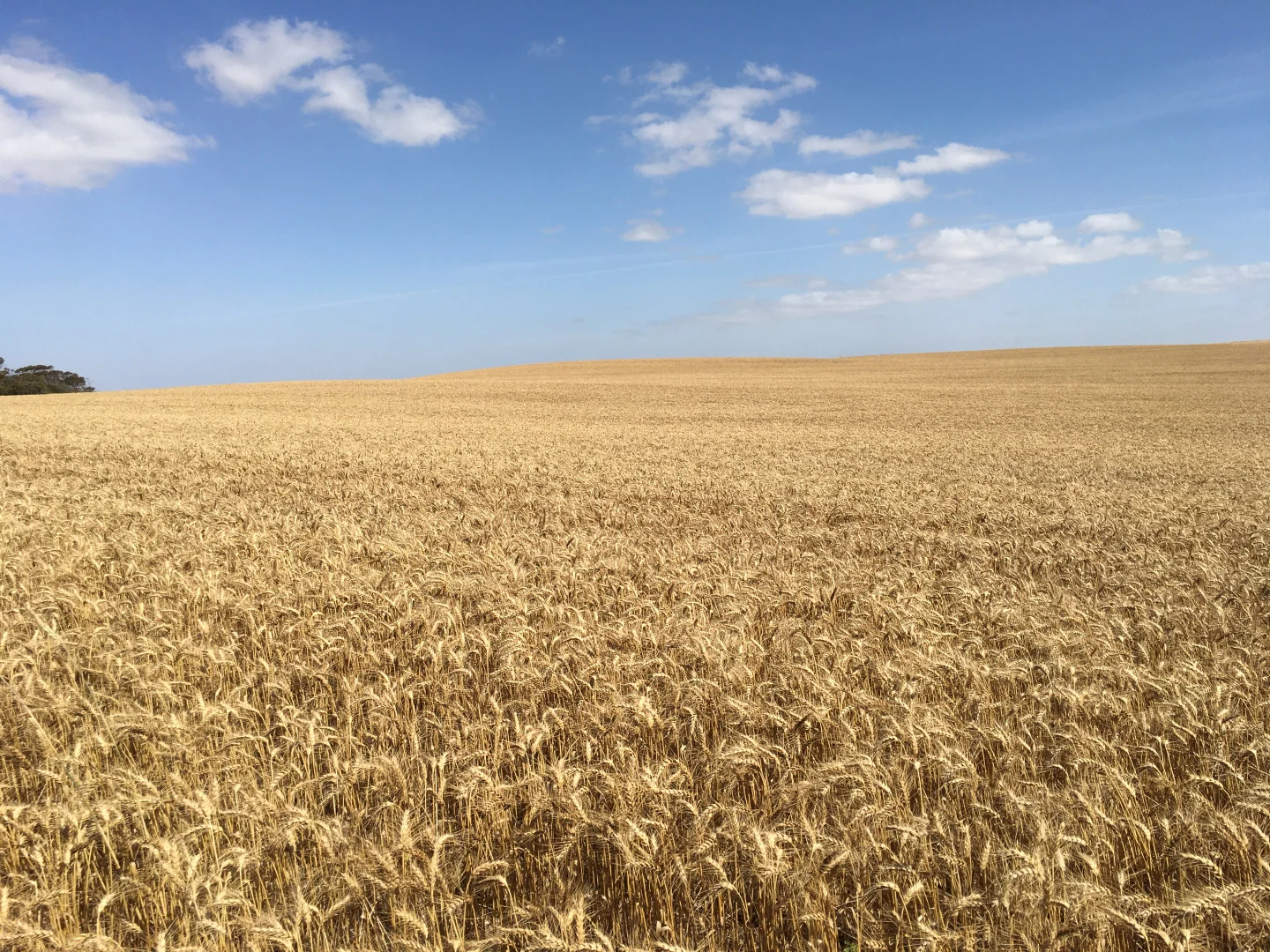 Additional image 5 of 163 McAskill Road, Karkoo SA 5632