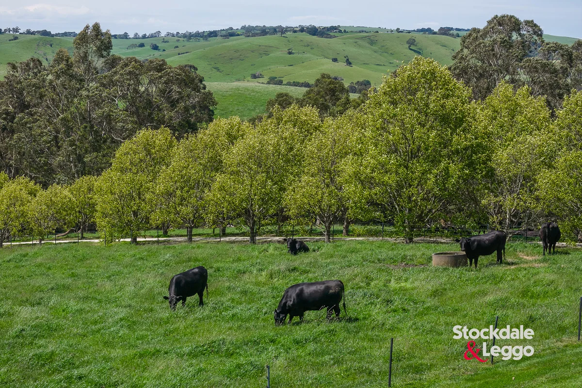 Additional image 32 of 15 Kongwak Road, Lance Creek VIC 3995