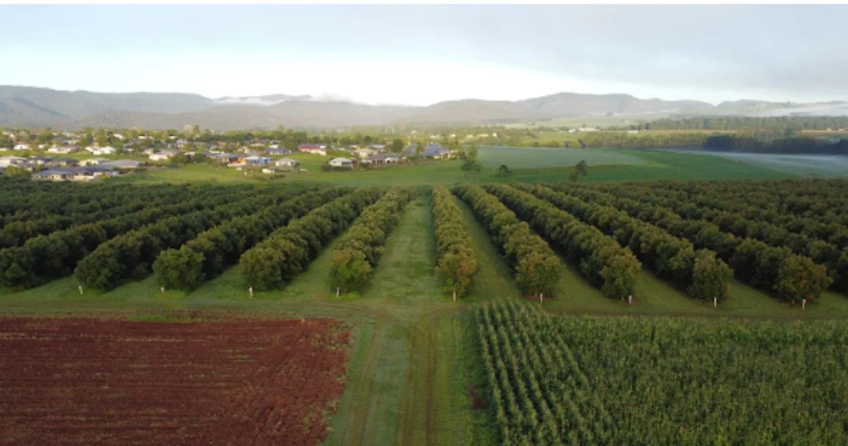 Additional image 27 of 139 Tinaroo Falls Dam Road, Atherton QLD 4883