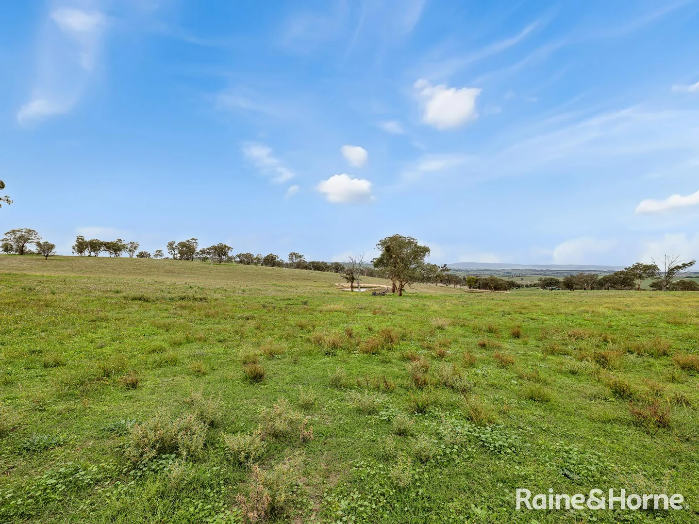 Additional image 30 of 223 Wimbledon Road, Georges Plains NSW 2795