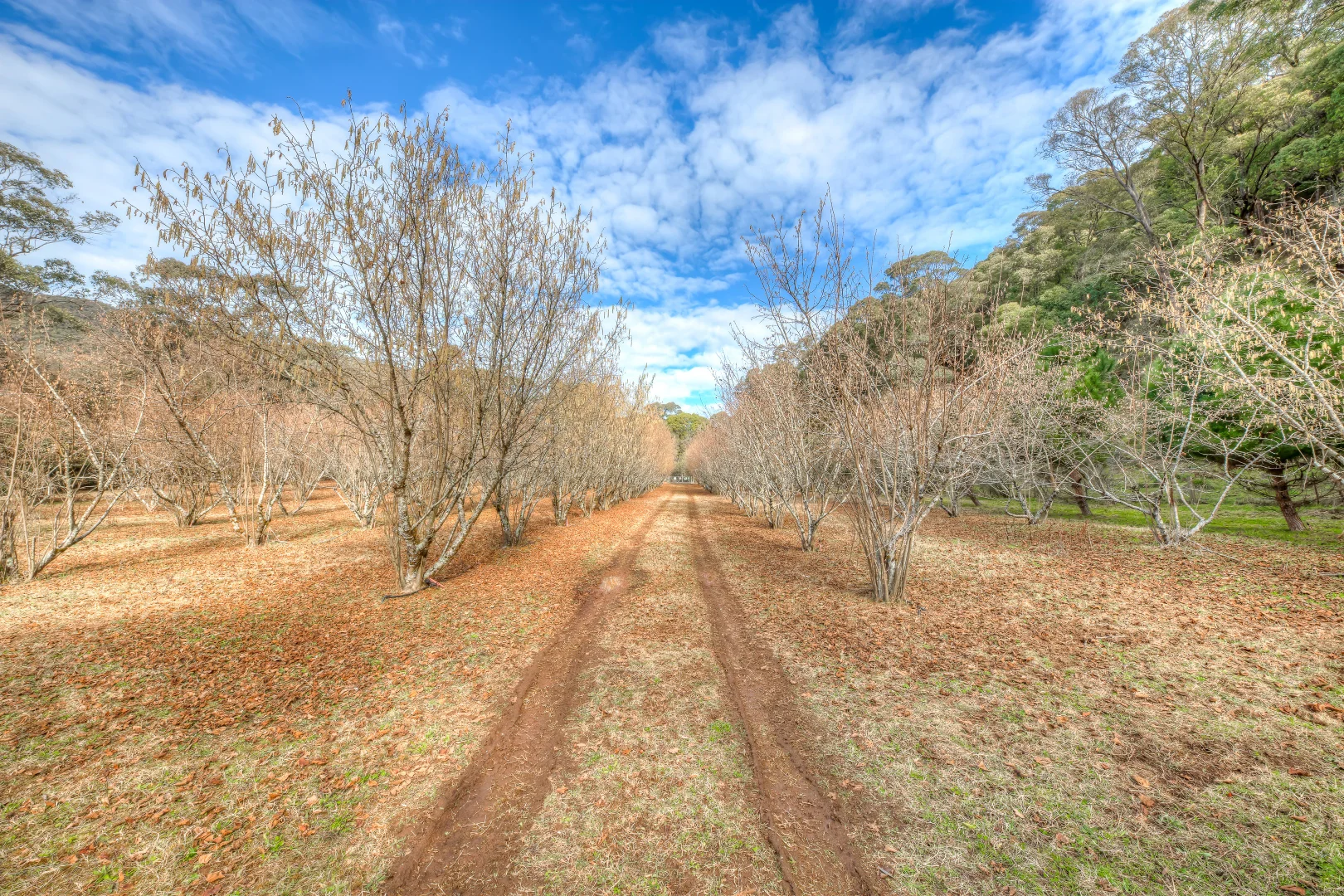 Additional image 12 of 828 Morses Creek Road, Wandiligong VIC 3744