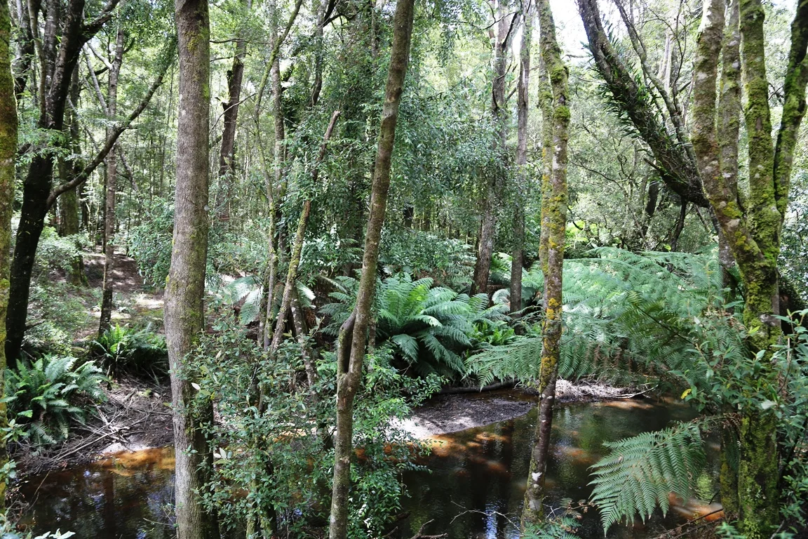 Additional image 12 of 1 Croles Road, Trowutta TAS 7330