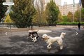 Additional image 13 of 250 S End Ave Apt 5D, New York, NY, 10280