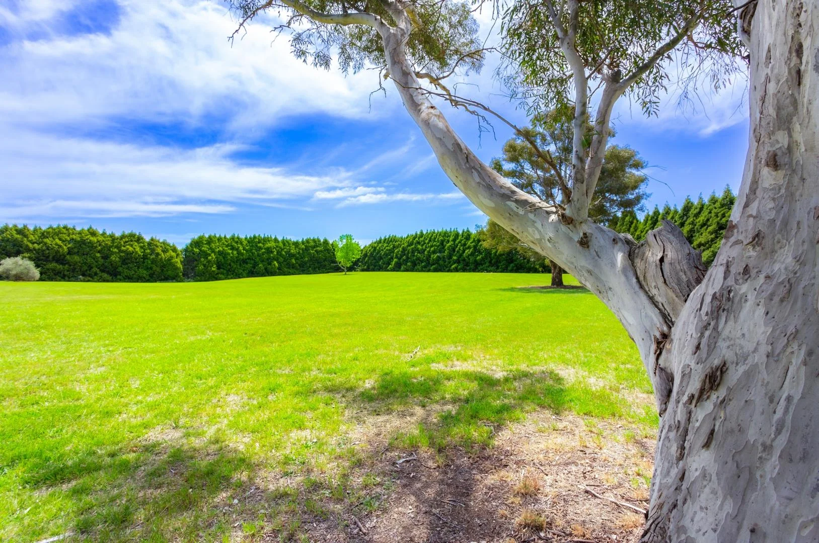 Additional image 3 of 80 Murrumbateman Road, Murrumbateman NSW 2582