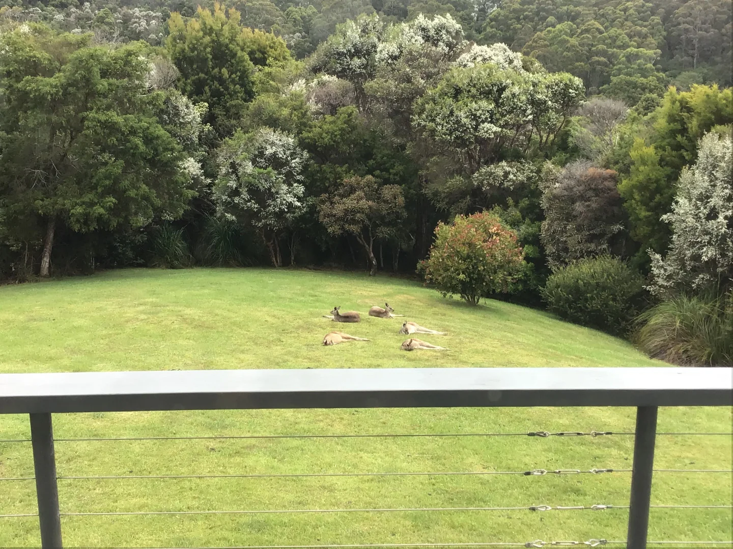 Additional image 19 of 45 MELANESIA TRACK, Yuulong VIC 3237