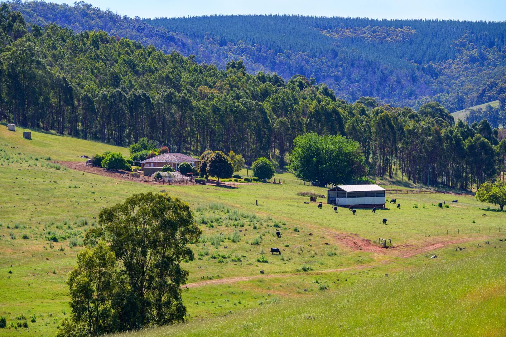 Additional image 5 of 305 & Lot 8138 Balingup-Nannup Road, Balingup WA 6253