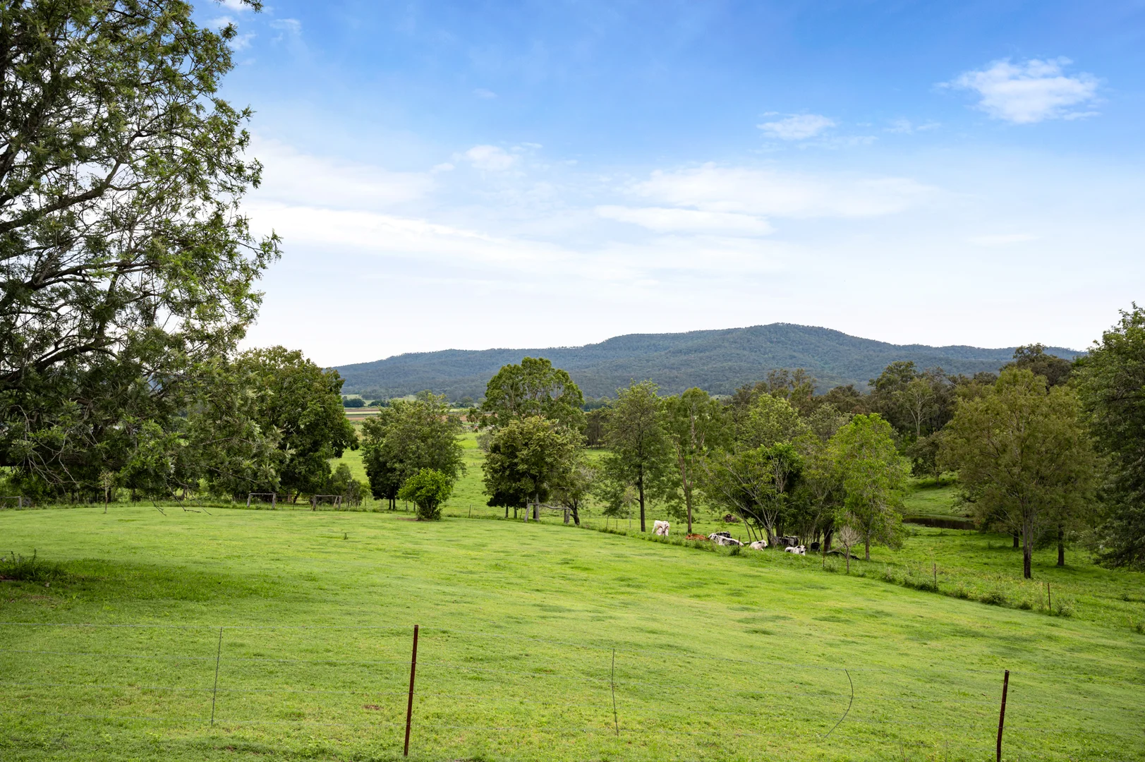 Additional image 18 of 5 Surprise Lane, Mulgowie QLD 4341