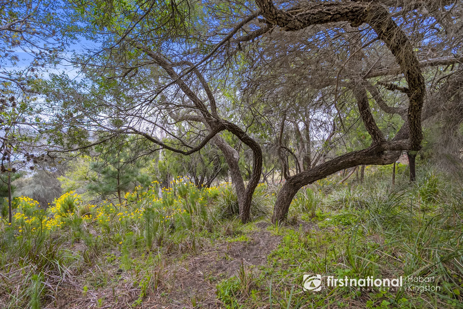 Additional image 21 of 16 Victoria Avenue, Dennes Point TAS 7150