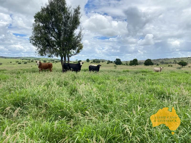 Additional image 14 of 474 Wigton Rd, Gayndah QLD 4625