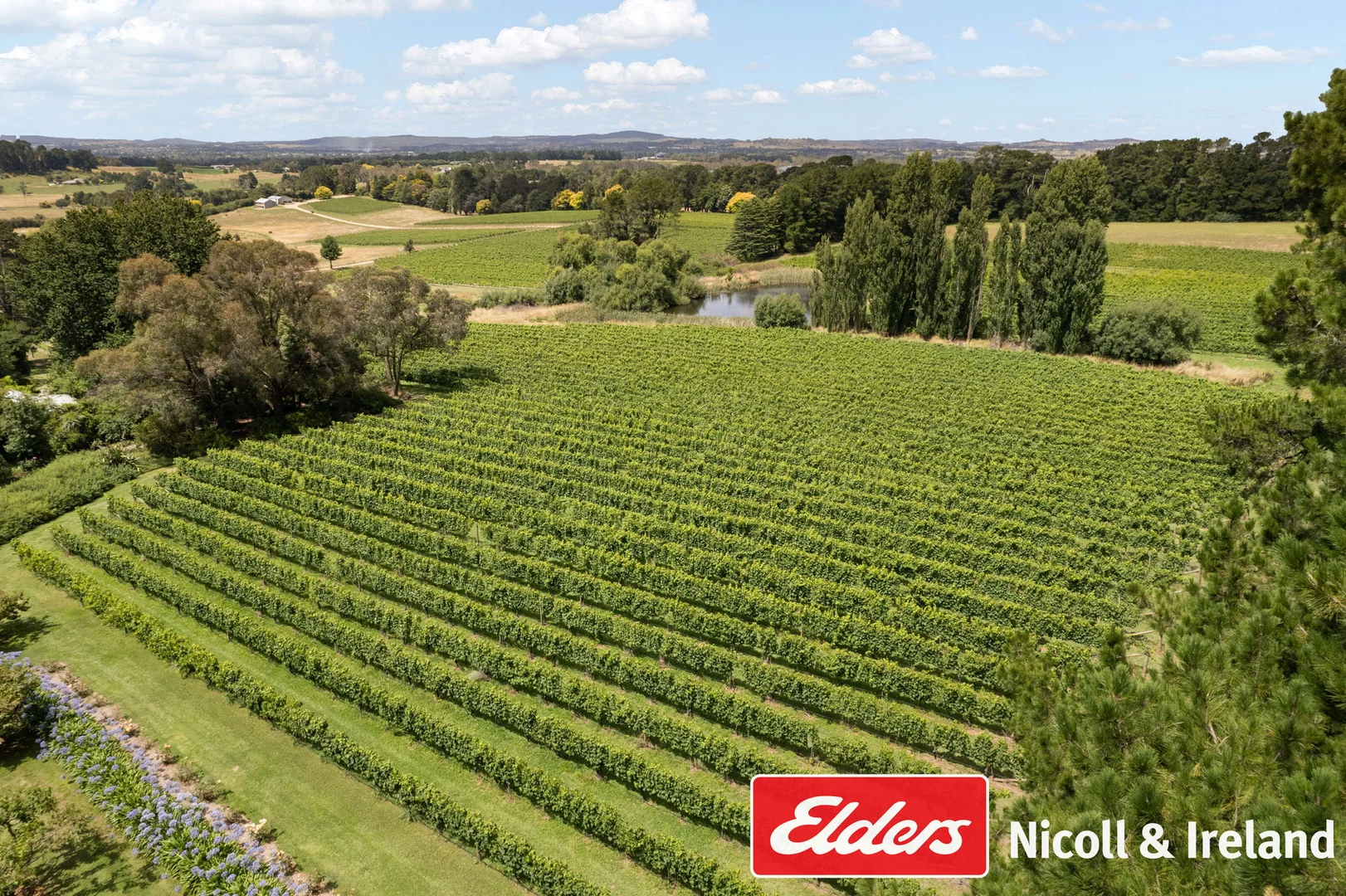 Additional image 34 of 42 Wallace Lane, Canobolas NSW 2800