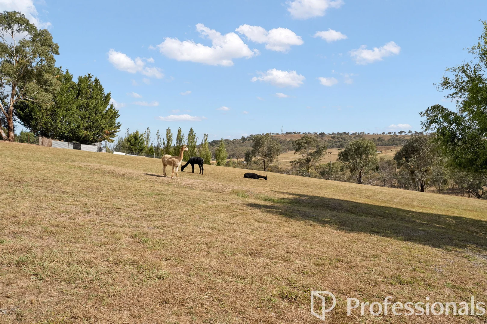 Additional image 37 of 41 Cherry Lane, Robin Hill NSW 2795