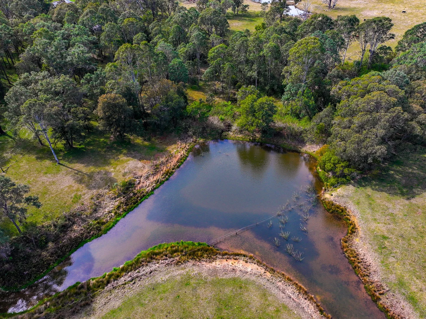 Additional image 19 of 83 Wanawong Street, Belimbla Park NSW 2570