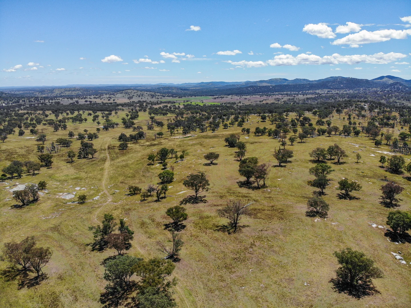 Additional image 6 of 778 Torryburn Road, Yarrowyck NSW 2358