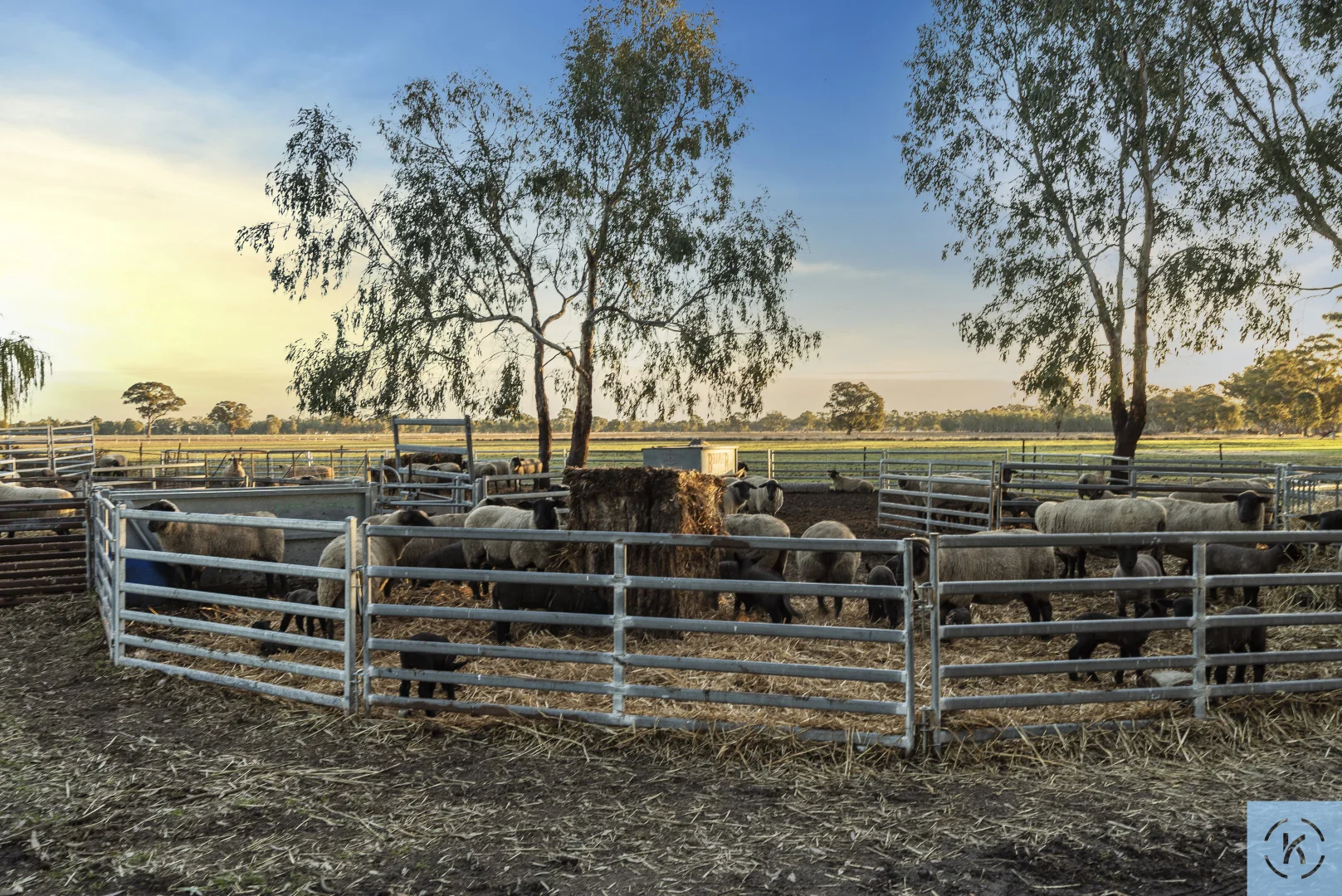 Additional image 26 of 7243 Goulburn Valley Highway, Koonoomoo VIC 3644