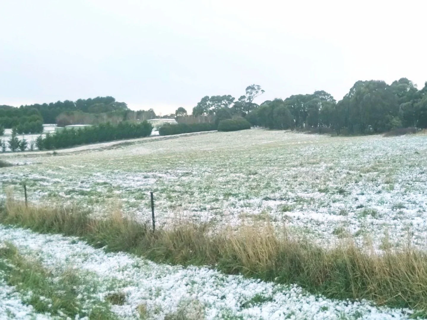 Additional image 6 of Lot 4 Wheeo Road, Crookwell NSW 2583