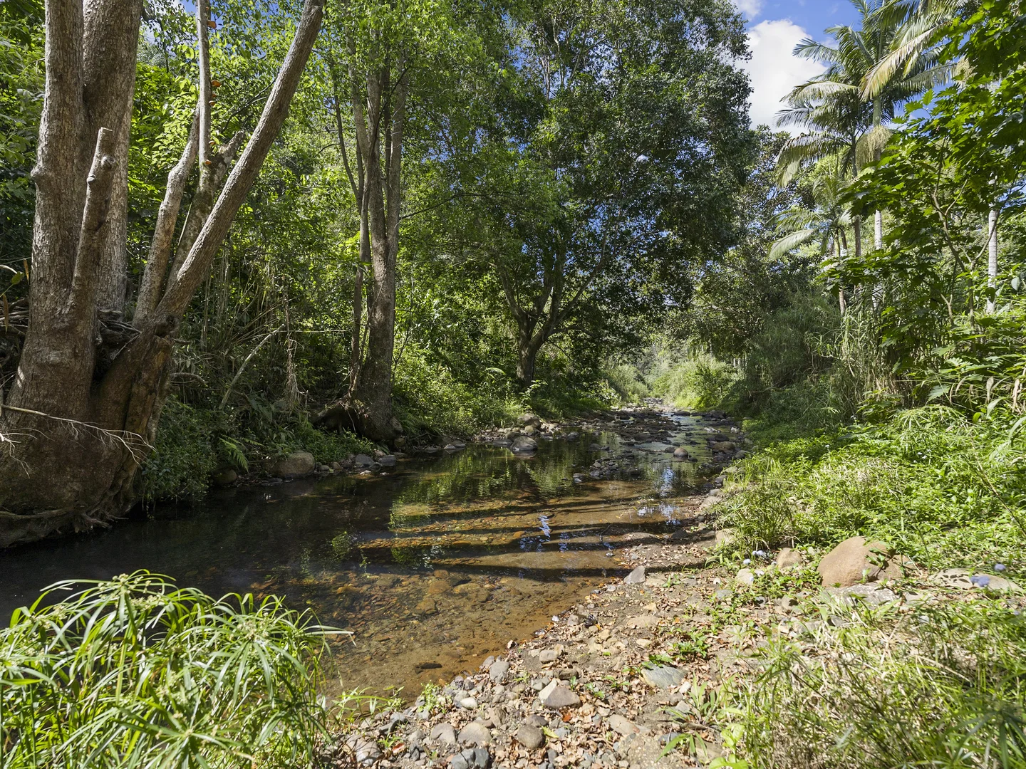Additional image 7 of 64 Mount Warning Road, Mount Warning NSW 2484