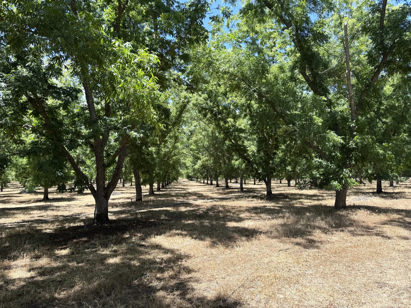 Additional image 11 of 43 Hearle Road, Mumballup WA 6225