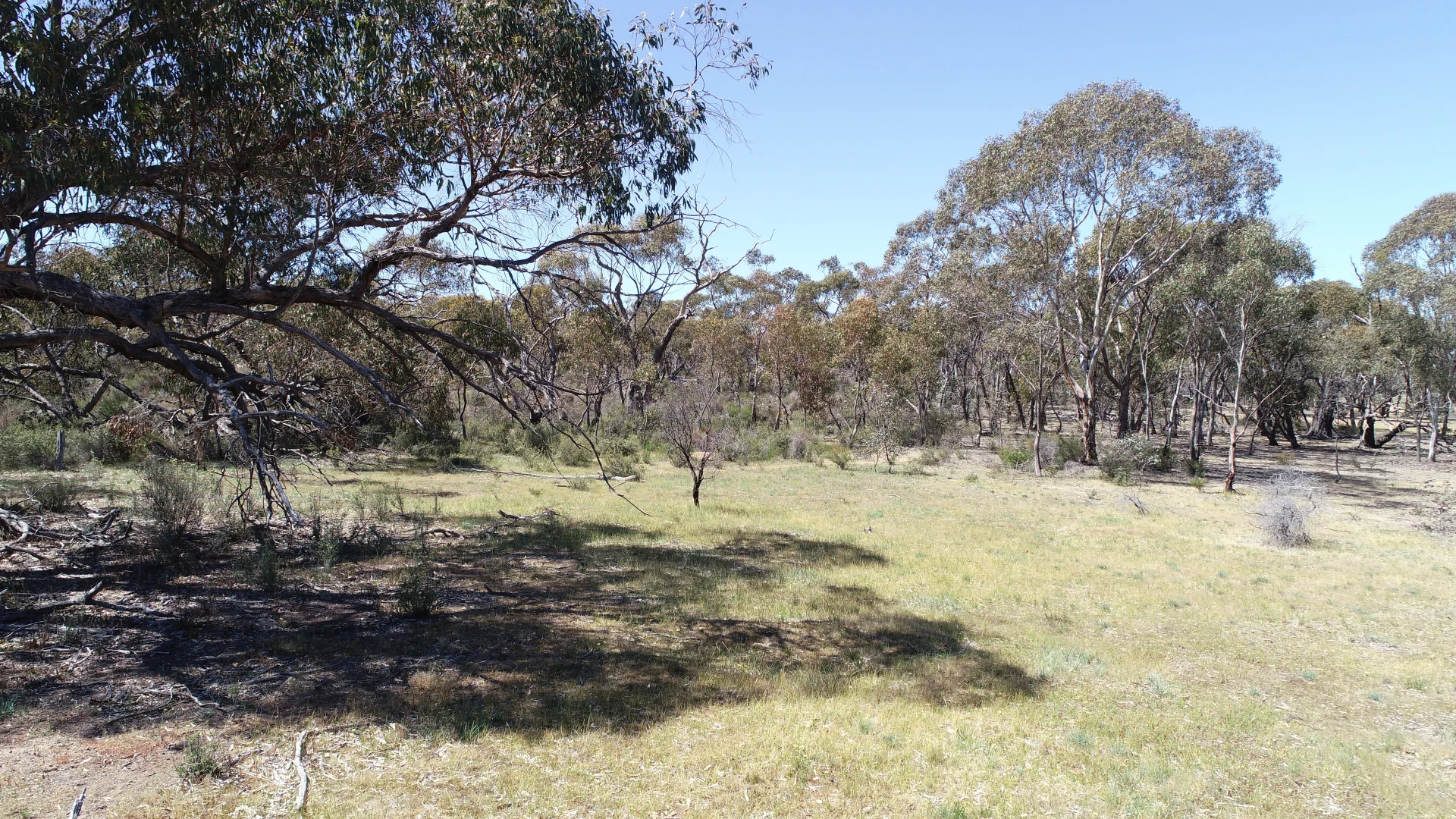 Additional image 3 of Allotment 7D Wedderburn Road, St Arnaud East VIC 3477