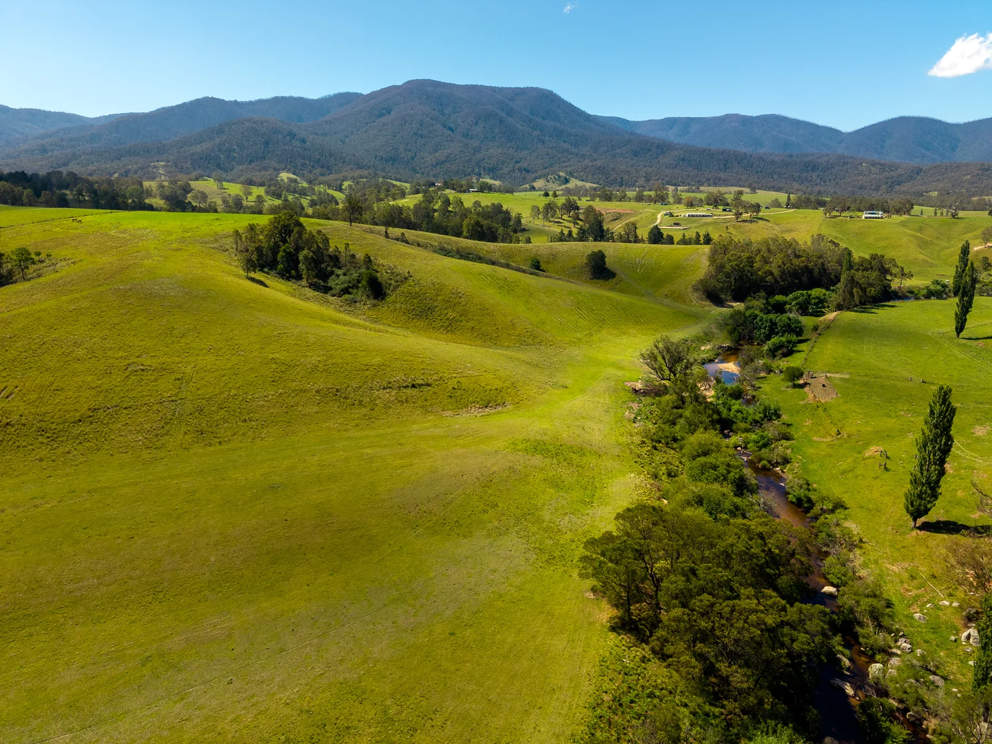 Additional image 26 of 247 Brown Pearsons Road, Bemboka NSW 2550