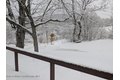 Additional image 26 of 474 Dibble Rd, Hobart, NY, 13788