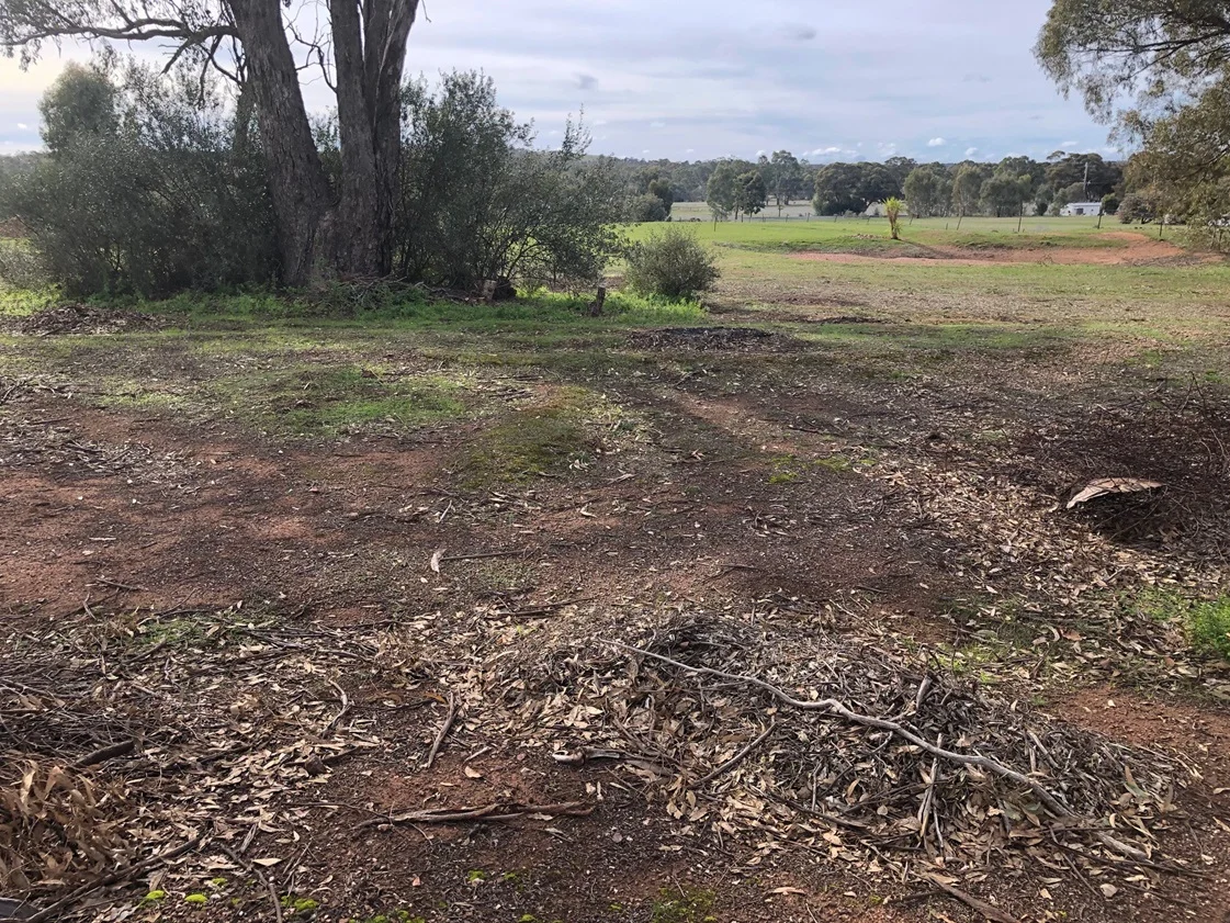 Additional image 6 of 79 Newbold Street, Wedderburn VIC 3518