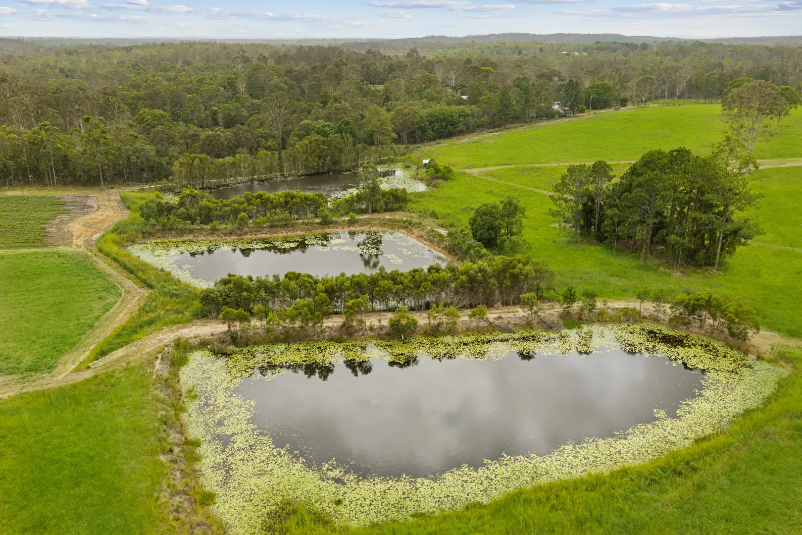 Additional image 23 of 1233 Anderleigh Road, Anderleigh QLD 4570