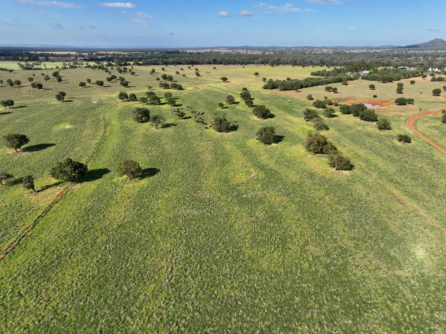 Additional image 4 of 1676 Willala Road, Boggabri NSW 2382