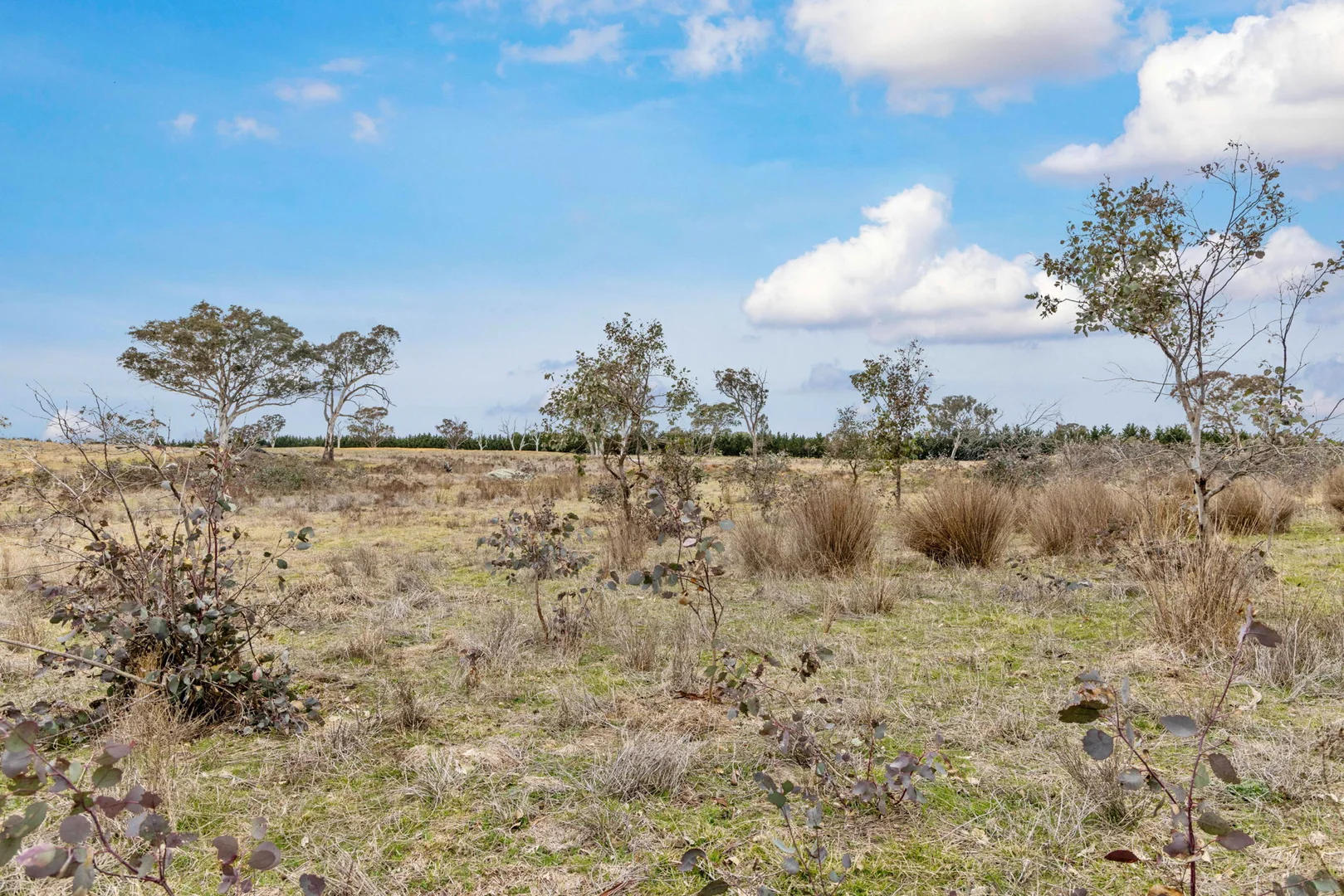 Additional image 13 of 10 Ryslipp Dr, Murrumbateman NSW 2582