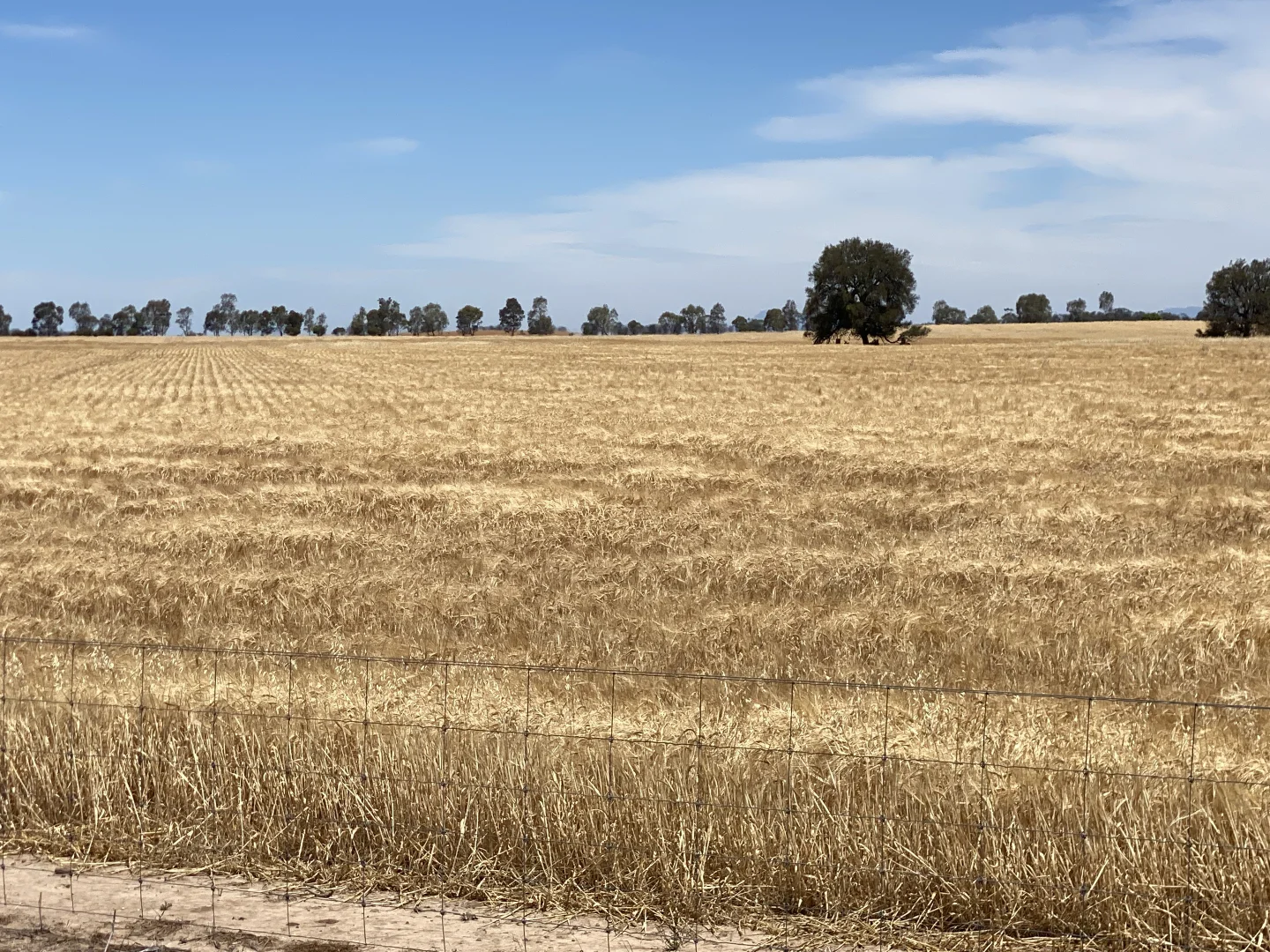 Additional image 2 of Banyena VIC 3388