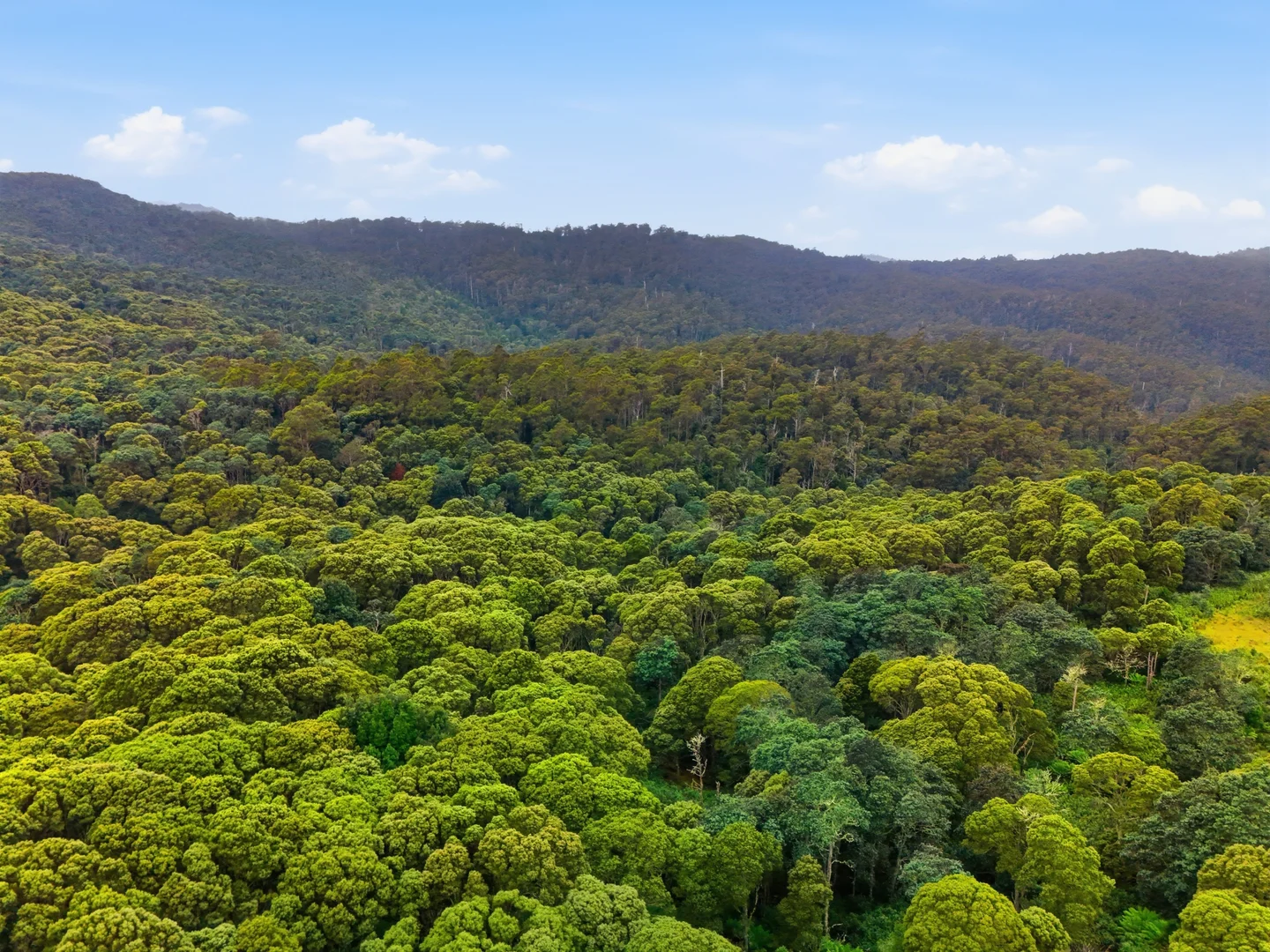 Additional image 11 of 28834 Tasman Highway, Weldborough TAS 7264