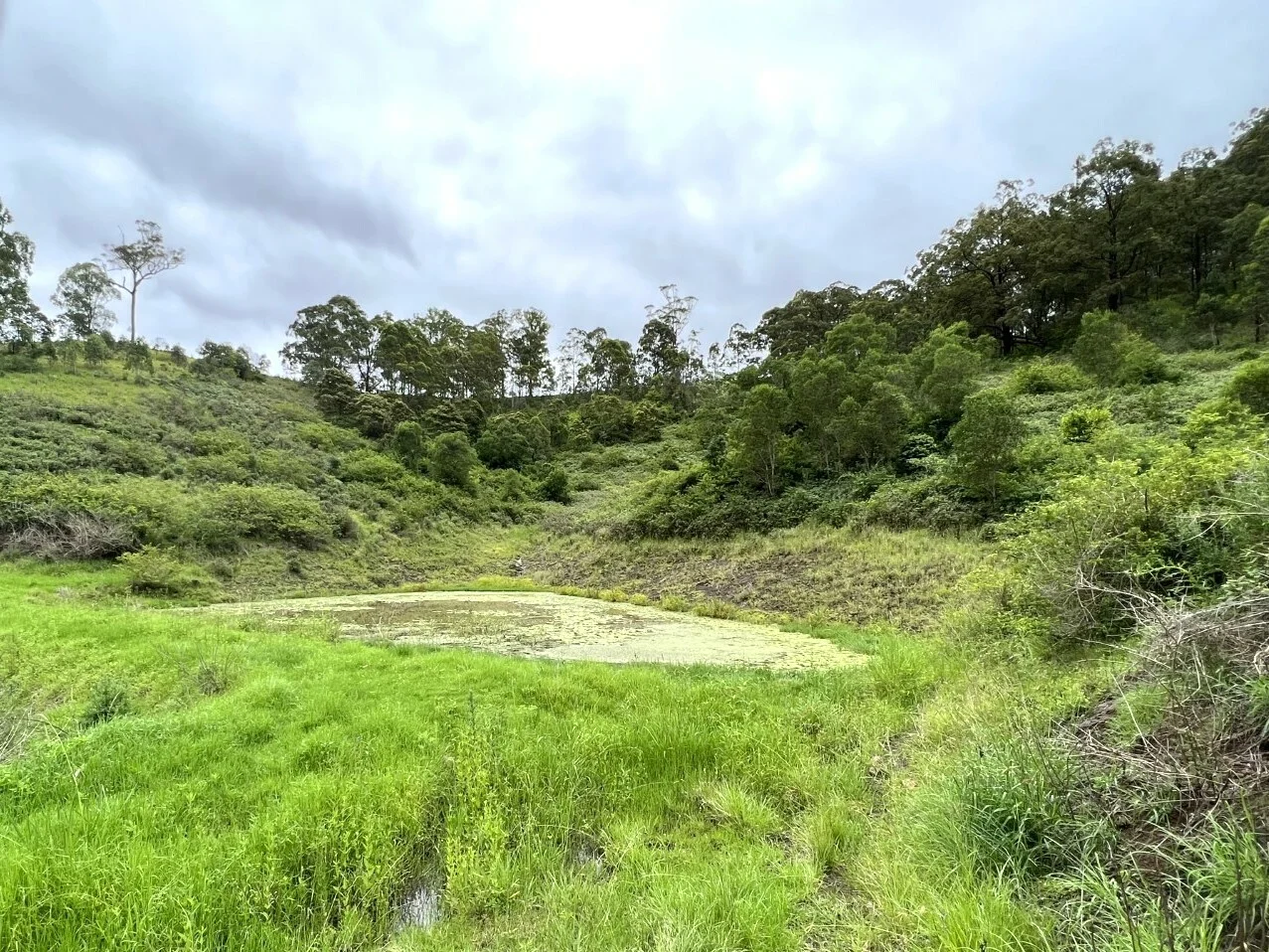 Additional image 44 of 59 Wyndham Road, Wyneden NSW 2474