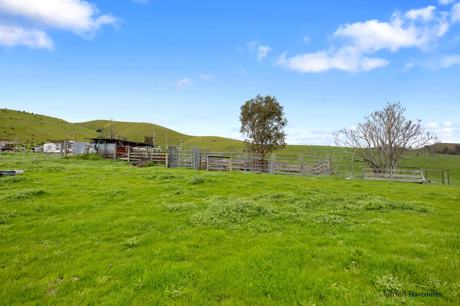 Additional image 14 of 53 Halls Outlet Road, Alexandra VIC 3714