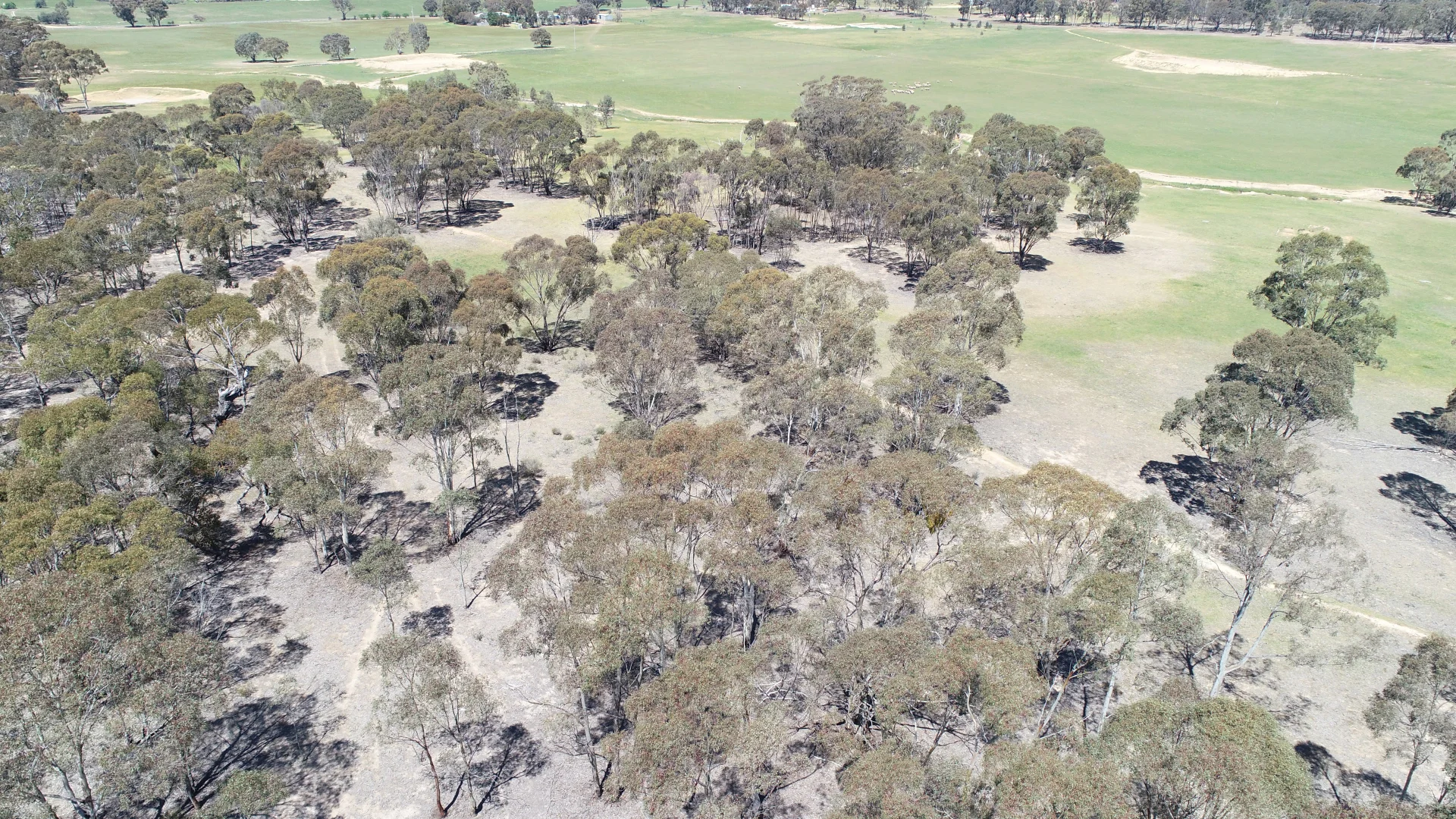 Additional image 7 of Allotment 7D Wedderburn Road, St Arnaud East VIC 3477