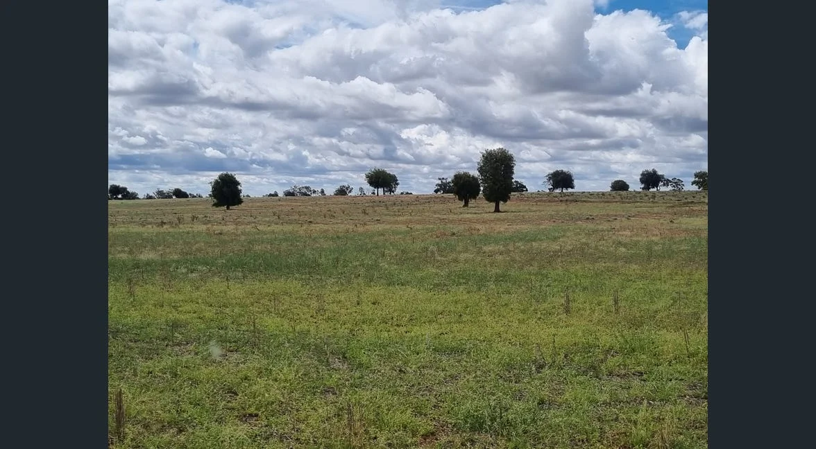 Additional image 17 of Tooraweenah NSW 2817