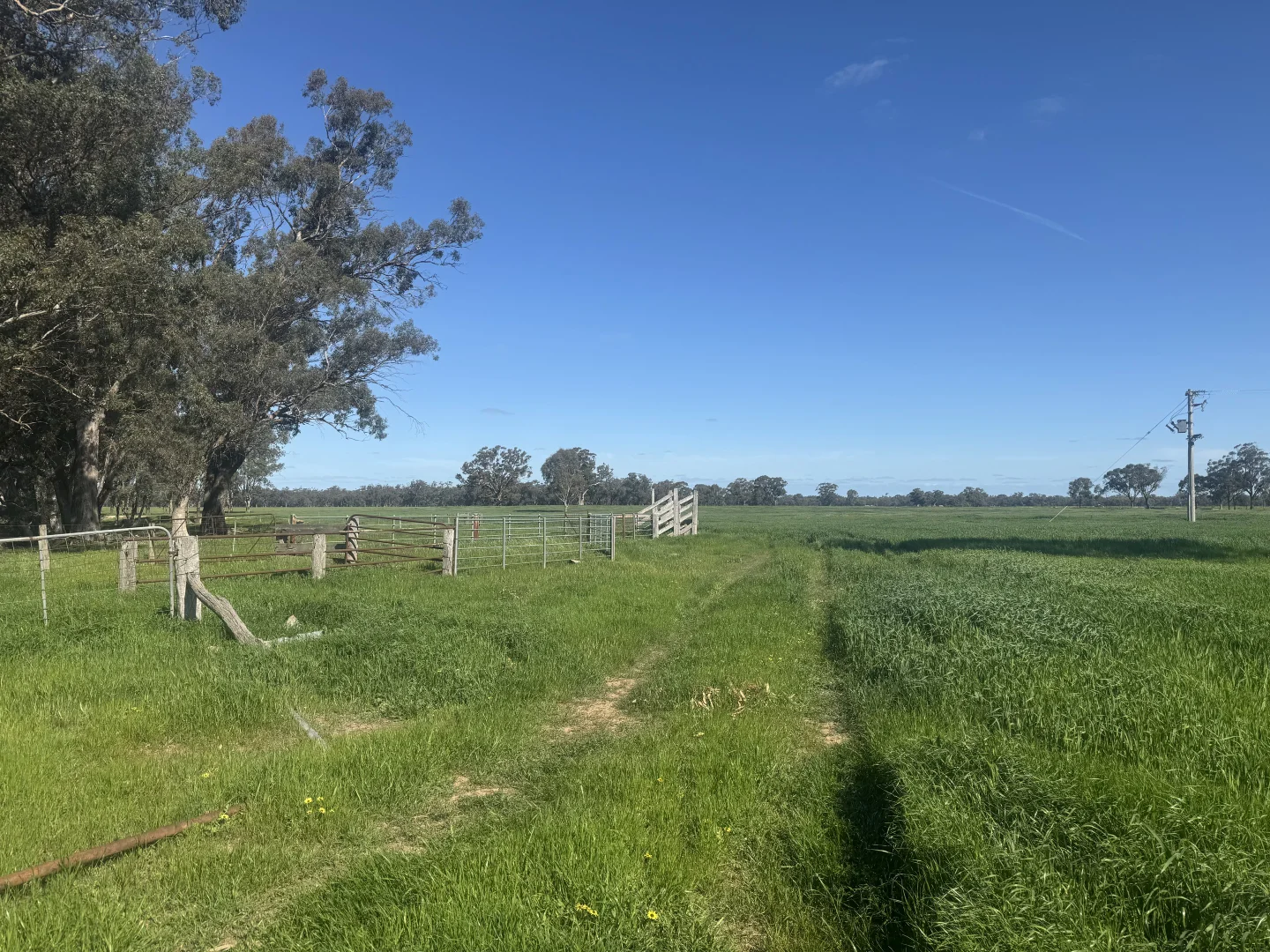 Additional image 28 of . Bangerang Road, Kanyapella VIC 3564